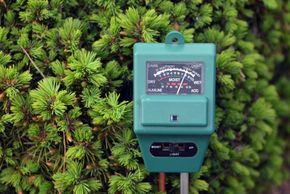 Ein Messgerät zur Bestimmung der Bodenfeuchtigkeit und des pH-Wertes.